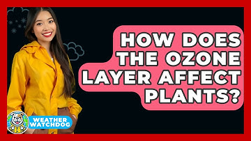 How Does The Ozone Layer Affect Plants? - Weather Watchdog