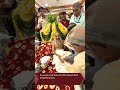Jagannath Rathyatra