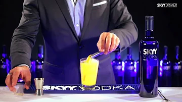 Quanto tá a vodka Skyy?