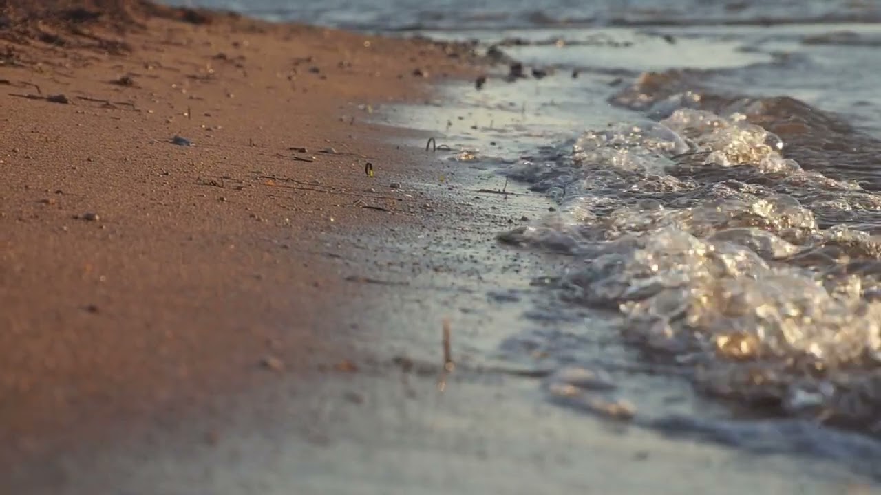 Sand beach detail | Free stock footage