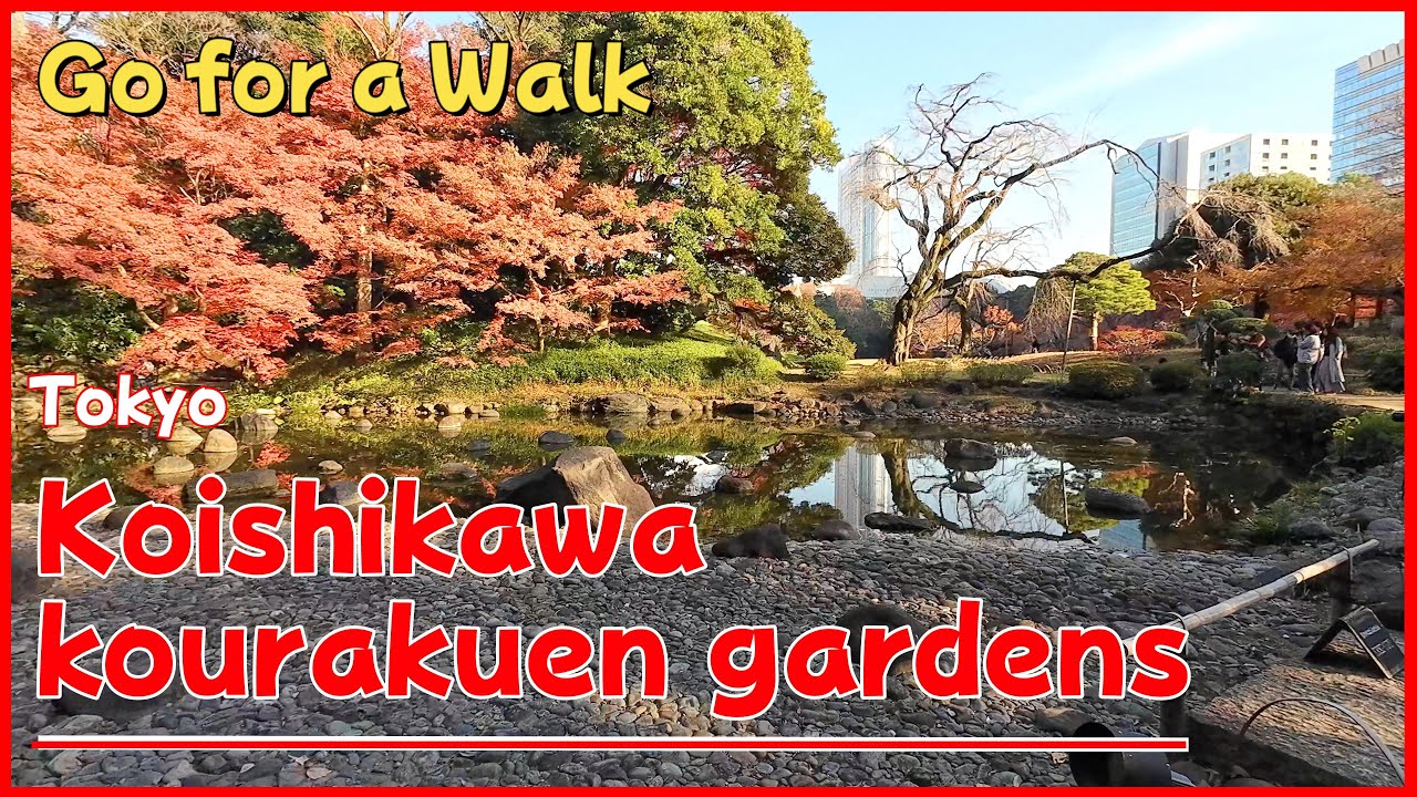 Koishikawa kourakuen gardens / Tokyo / JAPAN / Walking