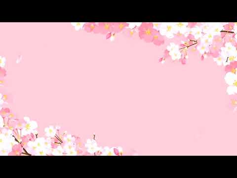 HD  Animation​Pink Background  แบคกราวด์สีชมพู ดอกไม้สวย ๆ แจกฟรี