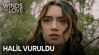 Halil is in trouble | Winds of Love Episode 62 (MULTI SUB)