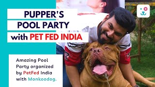 'Doggies Day out'. Pet Pool Party -INDIA covered by Monkoodog by Monkoodog 241 views 1 year ago 2 minutes, 29 seconds