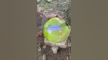 What did the job interviewer say that made you not accept the job offer?#reddit #story #redditstor