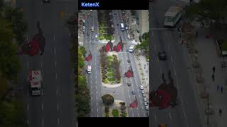 Bu Görseldeki Kedileri Bulabilecek Misin? Resimi