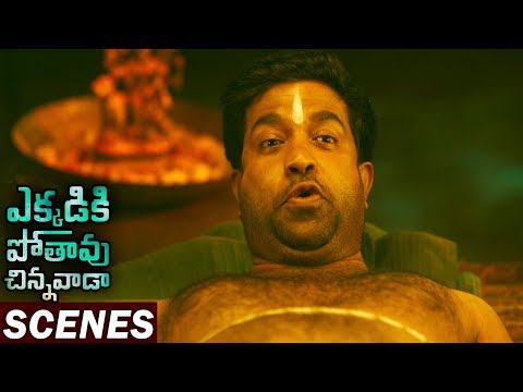 Vennela Kishore Hilarious Comedy Scene | Ekkadiki Pothavu Chinnavada Scenes | 2017