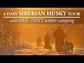 SIBERIAN HUSKY TOUR with HOT TENT WINTER CAMPING in LAPLAND