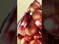 MIXED BERRIES BEER