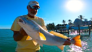 INSHORE FISHING SW Florida | Catch Clean Cook