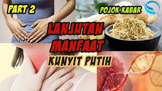 Manfaat Penting Kunyit Putih | cara mengolah kunyit putih