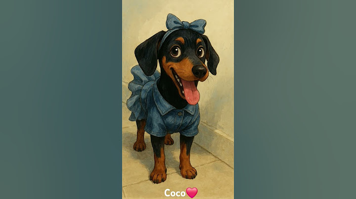 adorable coco❤️#coco #adorable #doberman