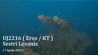 UJ2216 (Eros/KT)  Sestri Levante (07042024) relitto wreck UBoot Jager Kriegsmarine Incomprise