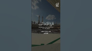 فسبحان الله حين تمسون - عبدالرحمن الزواوي #تلاوه #تلاوات #المصحف #القرآن_الكريم #القرآن #آيات