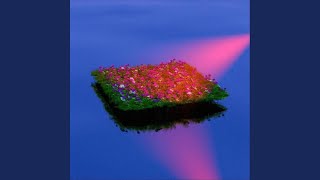 Under the Ruby Moon