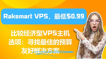 比较经济型VPS主机选项：寻找最佳的预算友好解决方案 - Raksmart