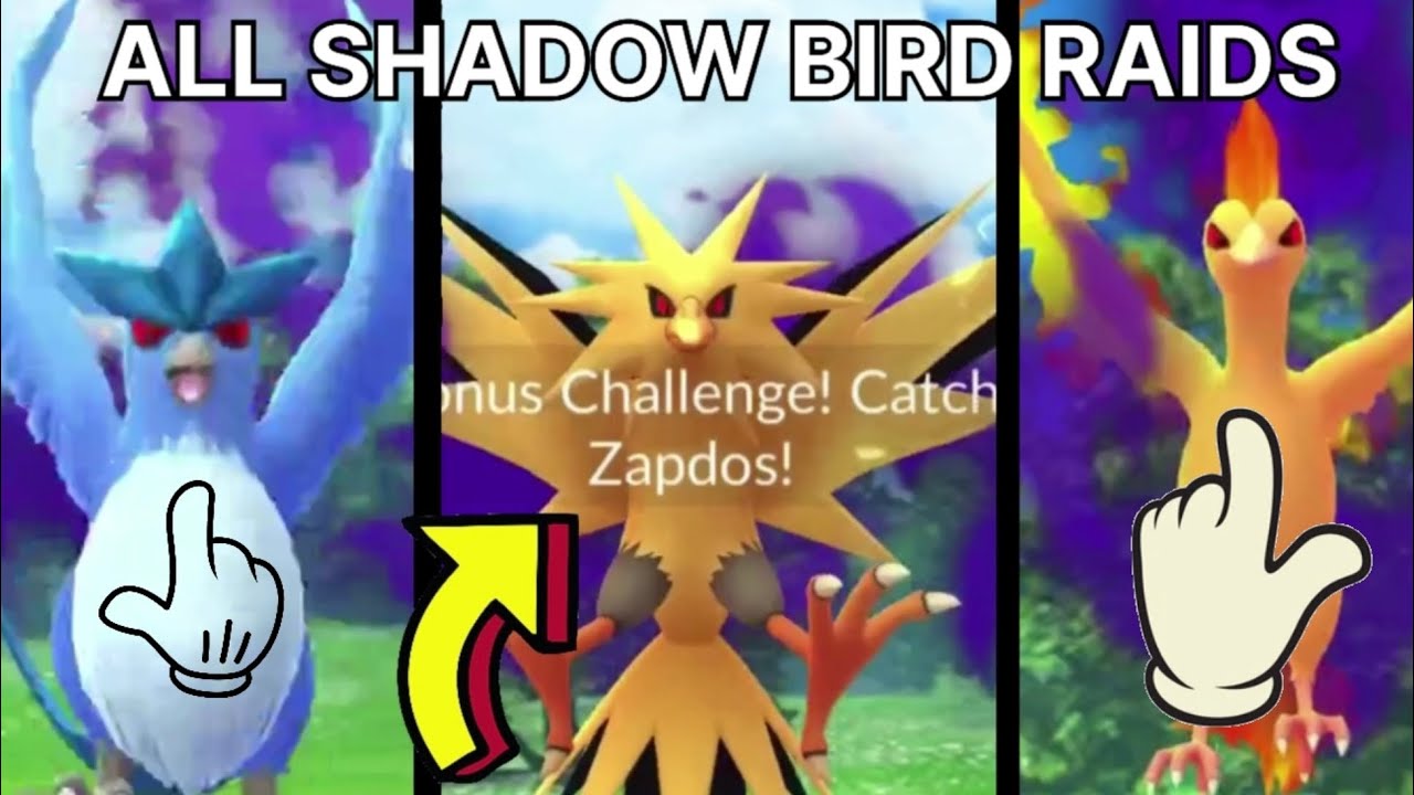 Shadow Bird User I TOOK ON ALL SHADOW BIRDS! POKÉMON GO! - YouTube