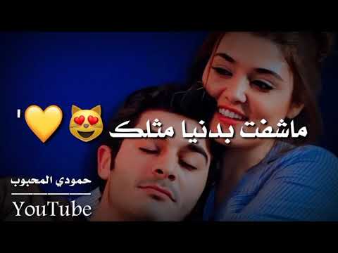 وليش هلكد ضعفتلك اغاني حب حالات واتساب حب اغاني عراقيه 