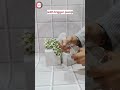 Video Image