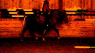Picture 2237.avi