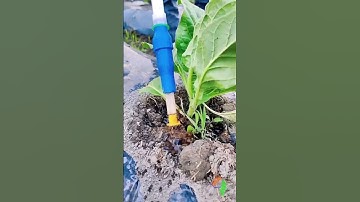 Nông nghiệp công nghệ cao, Tự động hóa trong sản xuất nông nghiệp