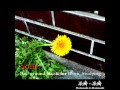 【作業用 勉強用BGM】 三味線ロック アコギ ピアノ アップテンポでやる気を出し 気合を入れる為のBGM Shamisen Rock Music