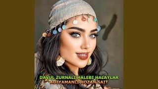 Davul Zurna Soft Halayı screenshot 3
