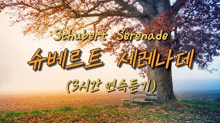 [클래식 명곡]  슈베르트 세레나데 / Classic Schubert (3H 연속듣기)