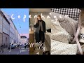 Vlog  copenhagen fabric shopping  new projects  msrosiebea