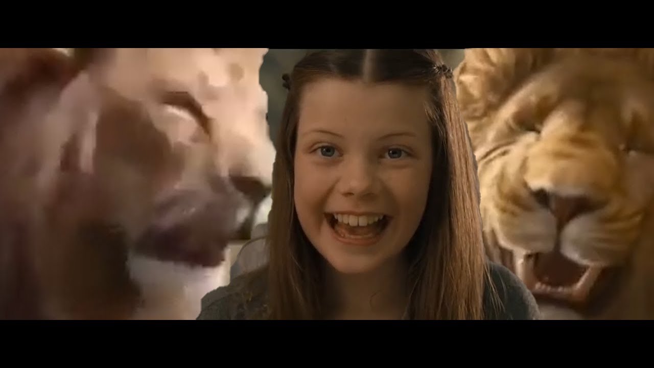 The real Lion King : r/NarniaMemes