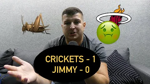 Miami Heat Lose Bulls and Jimmy Butler Loses to Cr...