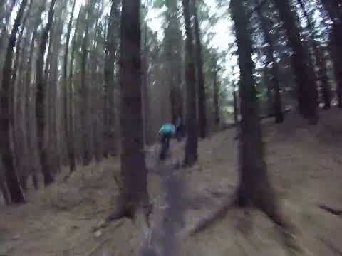 The Golfie - Feed the Pony