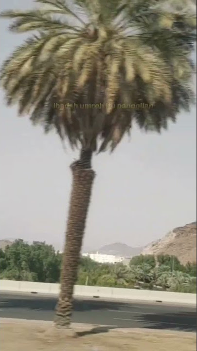 Umroh itu Panggilan Bagi yang Mau, Bukan yang Mampu #umroh2022 #hajj #madinah #mekkah #videoshorts