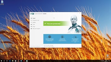 Eset Smart Security Premium 10 firewall used to block an app