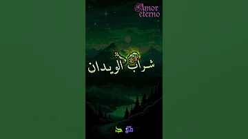 شراب الويدان كملني شراب الويدان اغاني الجزائر Shorts 