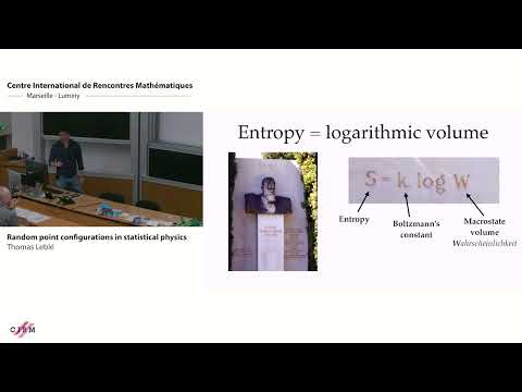 Thomas Leblé: Analysis and statistical physics