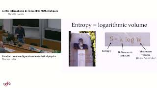 Thomas Leblé: Analysis and statistical physics