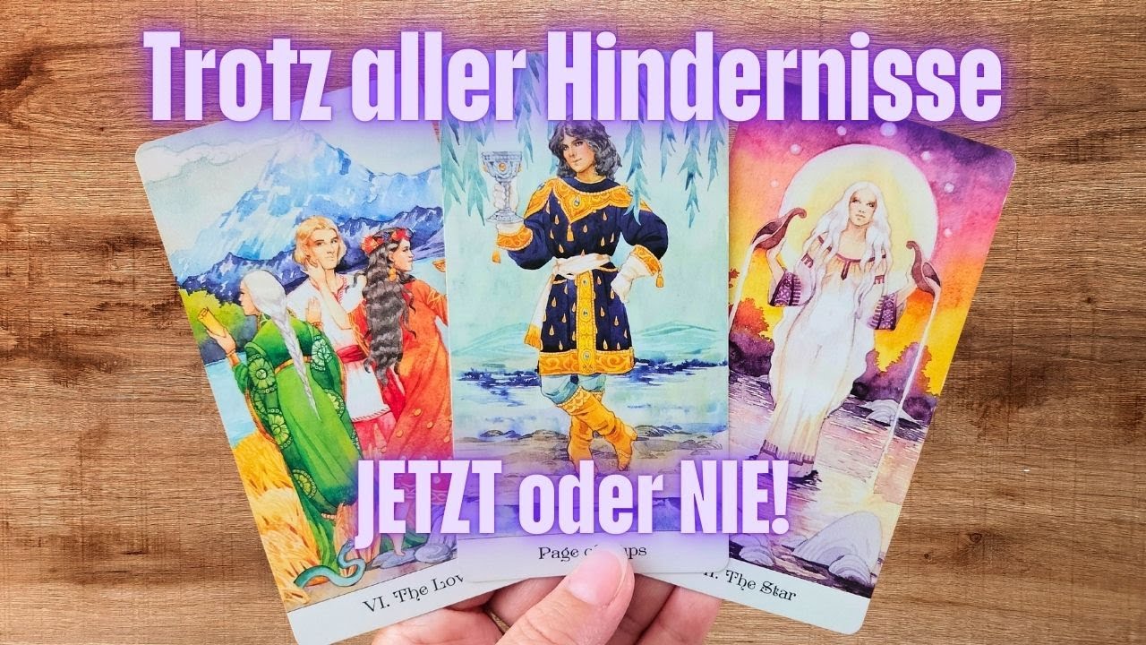 Jemand muss Dir das sagen | Jetzt oder nie | Trotz aller Hindernisse nur Du | Ich muss Dich sehen