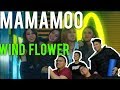 마마무 MAMAMOO WIND FLOWER (MV + Live reaction)