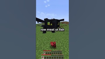 This Mod adds DRAGONS to Minecraft