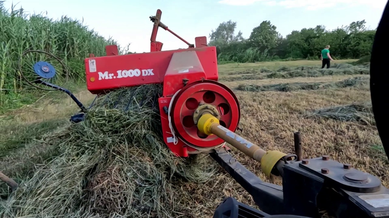 Сколько надо сена на одну корову. Сенокос 2024, луговое сено. - YouTube