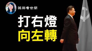 【第161期】習近平匆匆回京,中招還是政變?他還有一個死局,無法破解。| 薇羽看世間 20201017