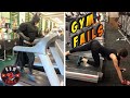 Workout gym fails compilation 122  fitness  gym fails moments  summer 2023