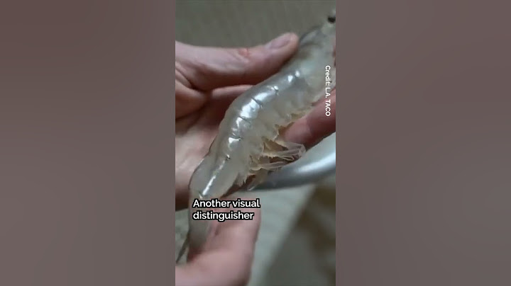 🦐 Which is Better: Shrimp or Prawn? #Shorts