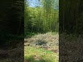 田舎で輝き隊＆山浦ゼミ活動日　260517