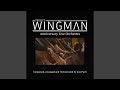 One year anniversary medley from project wingman