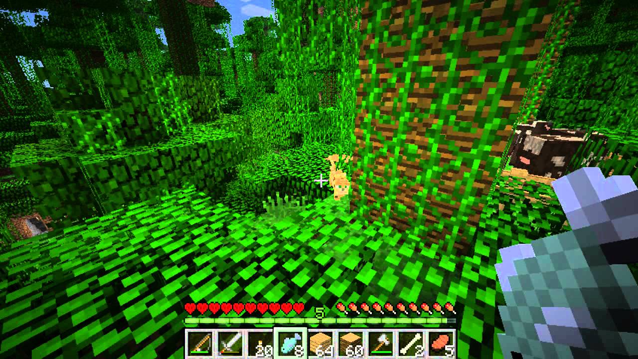 Minecraft Jungle Biome Survival Ep.8 (Hardcore) HD - YouTube