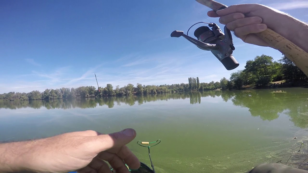 Pêche de poissons chats à l'anglaise YouTube