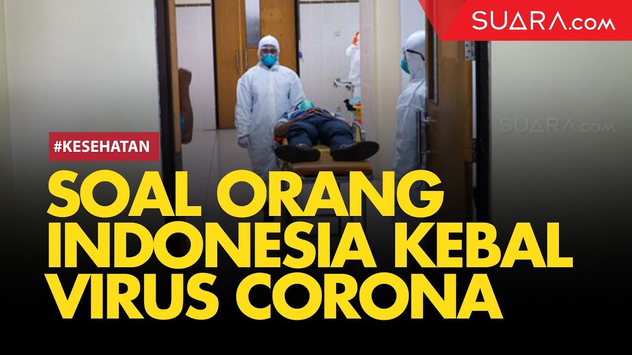 3 Alasan Indonesia Kebal Virus Corona Covid 19