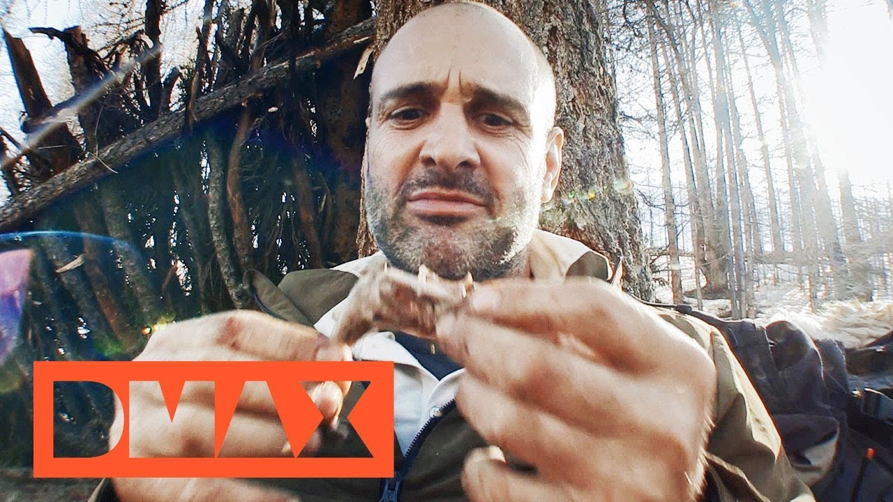 Ekelhaft, aber ich habe Hunger - Compilation | Ed Stafford: Das Survival-Duell | DMAX Adrenalin